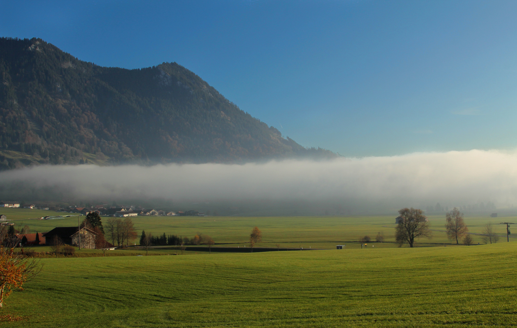 nebel am grünten/allgäu