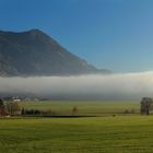 nebel am grünten/allgäu