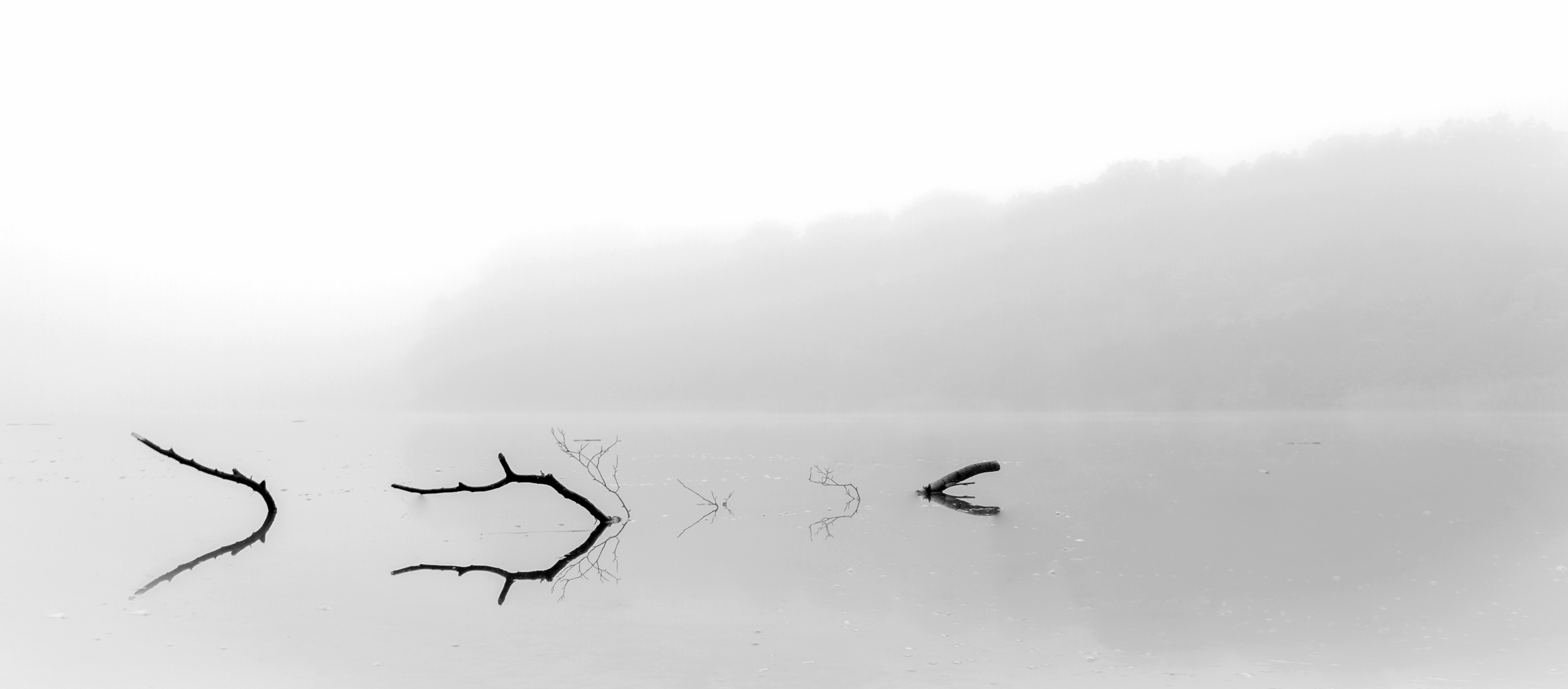 Nebel am Grunewaldsee