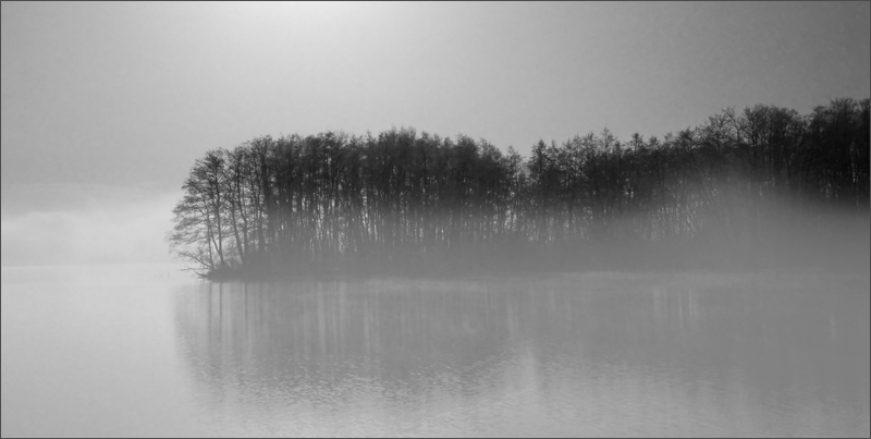 Nebel am Hallwilersee