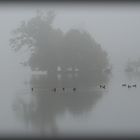 Nebel am Hariksee