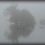 Nebel am Hariksee