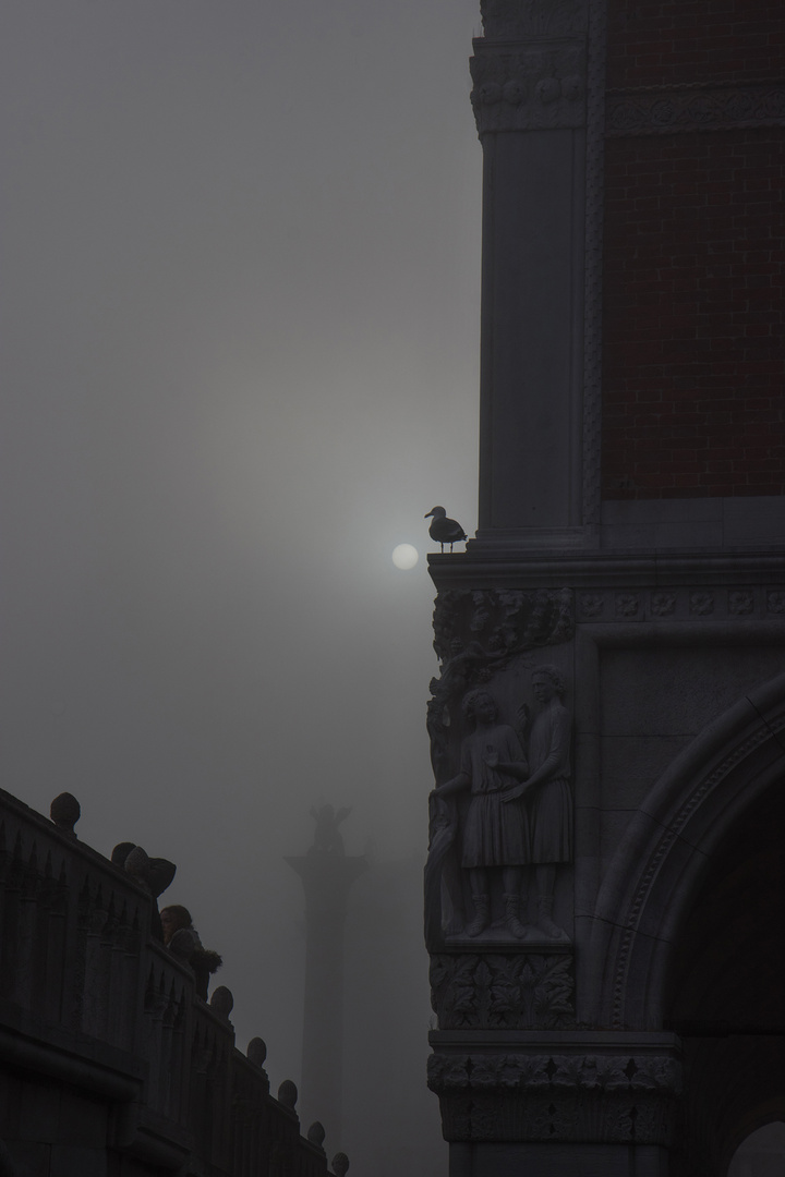 Nebel am hellichten Tag