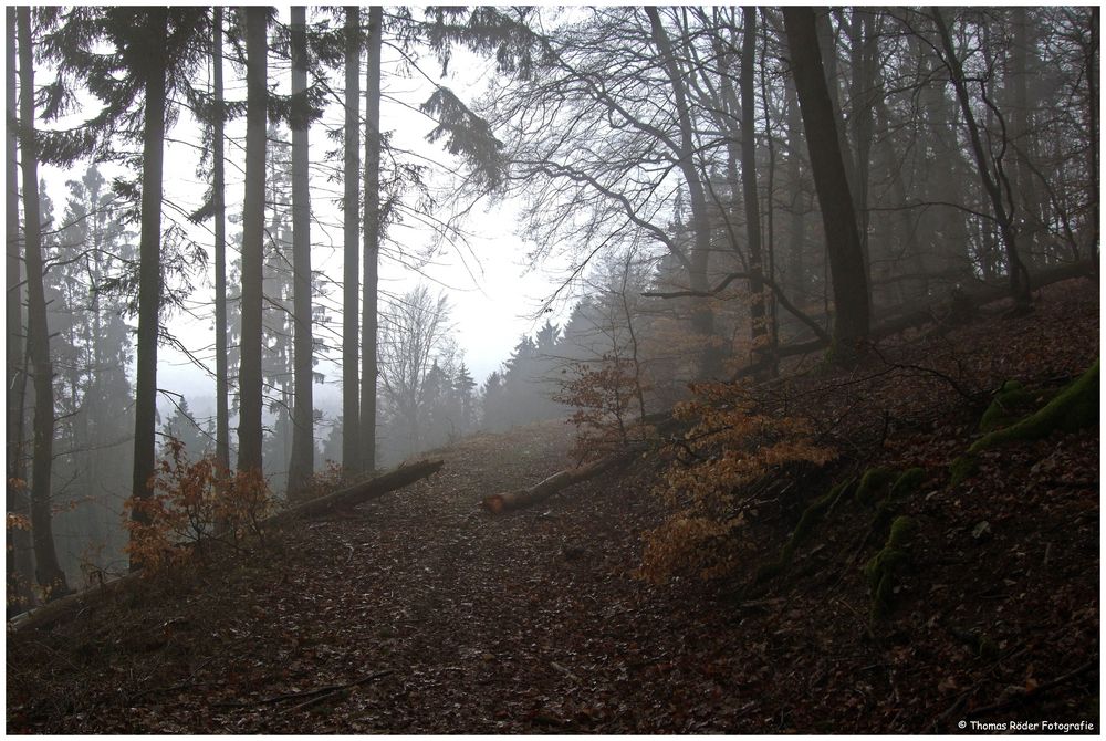 Nebel am Herzberg im Taunus