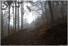 Nebel am Herzberg im Taunus