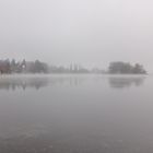 Nebel am Hochrhein...