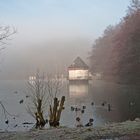 Nebel am Itzenplitzer Weiher