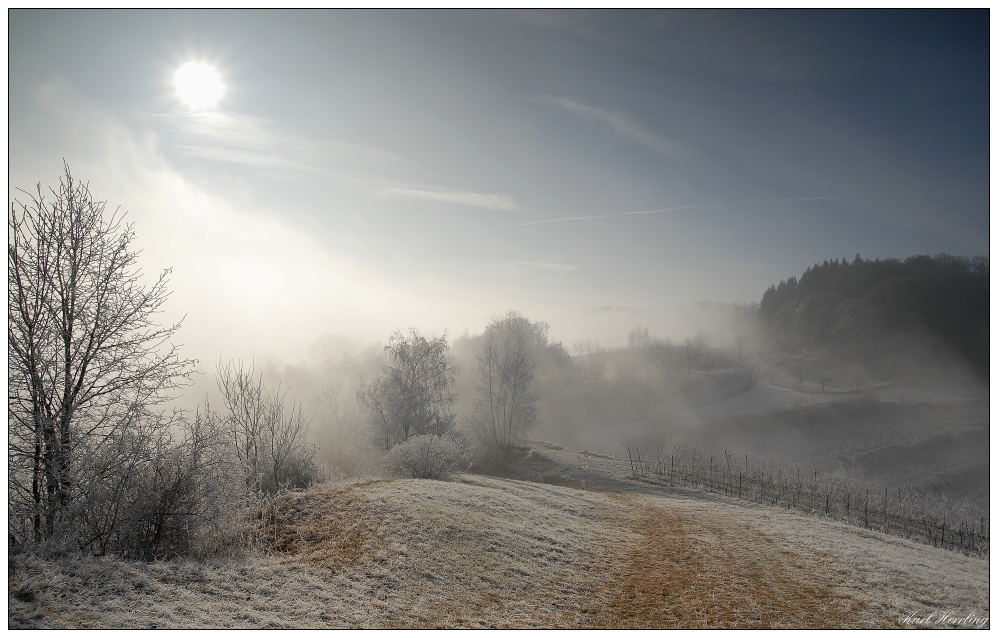 Nebel am Kaiserstuhl