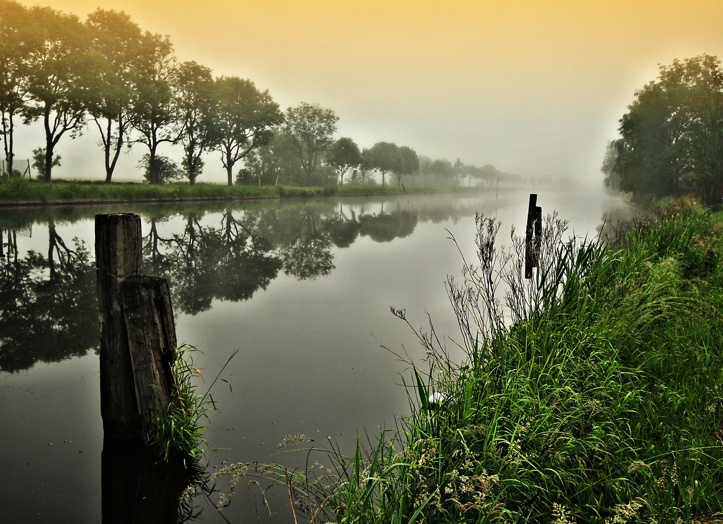 Nebel am Kanal