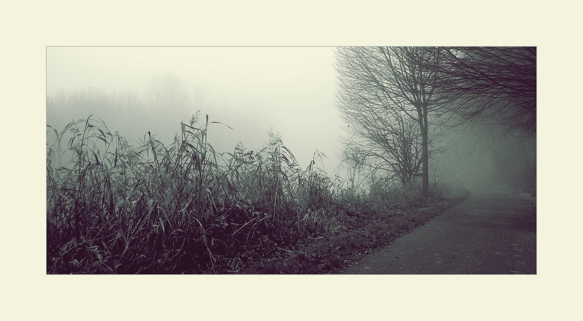 Nebel am Kanal