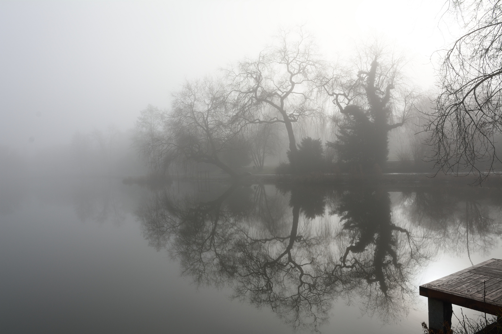 Nebel am Klostersee in Sindelfingen