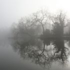 Nebel am Klostersee in Sindelfingen