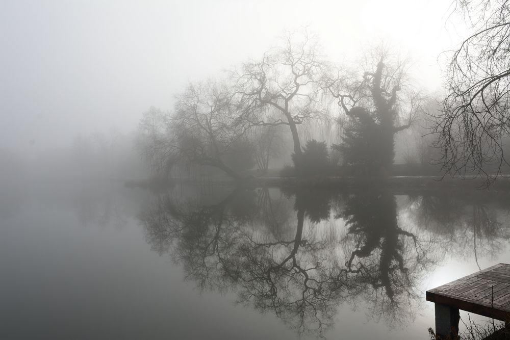 Nebel am Klostersee in Sindelfingen