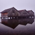 Nebel am Kochelsee