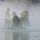 Nebel am Königssee