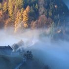 Nebel am Kohlerhof  