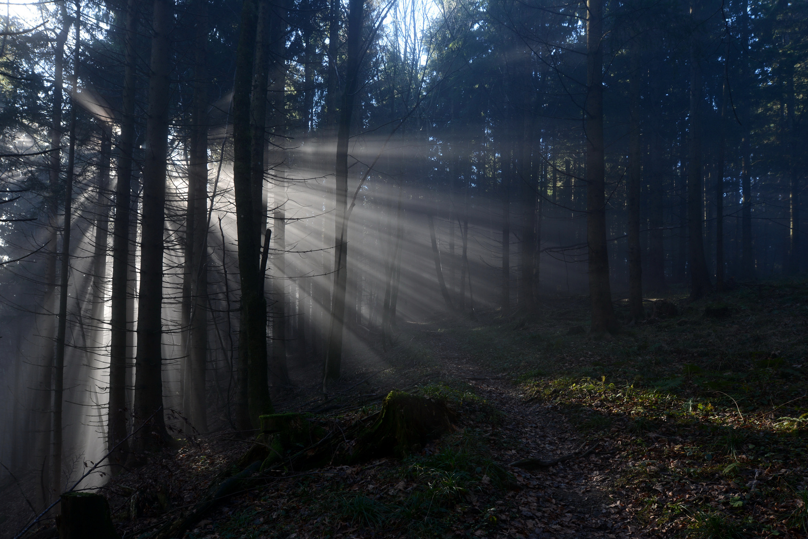 Nebel am Kolomannsberg