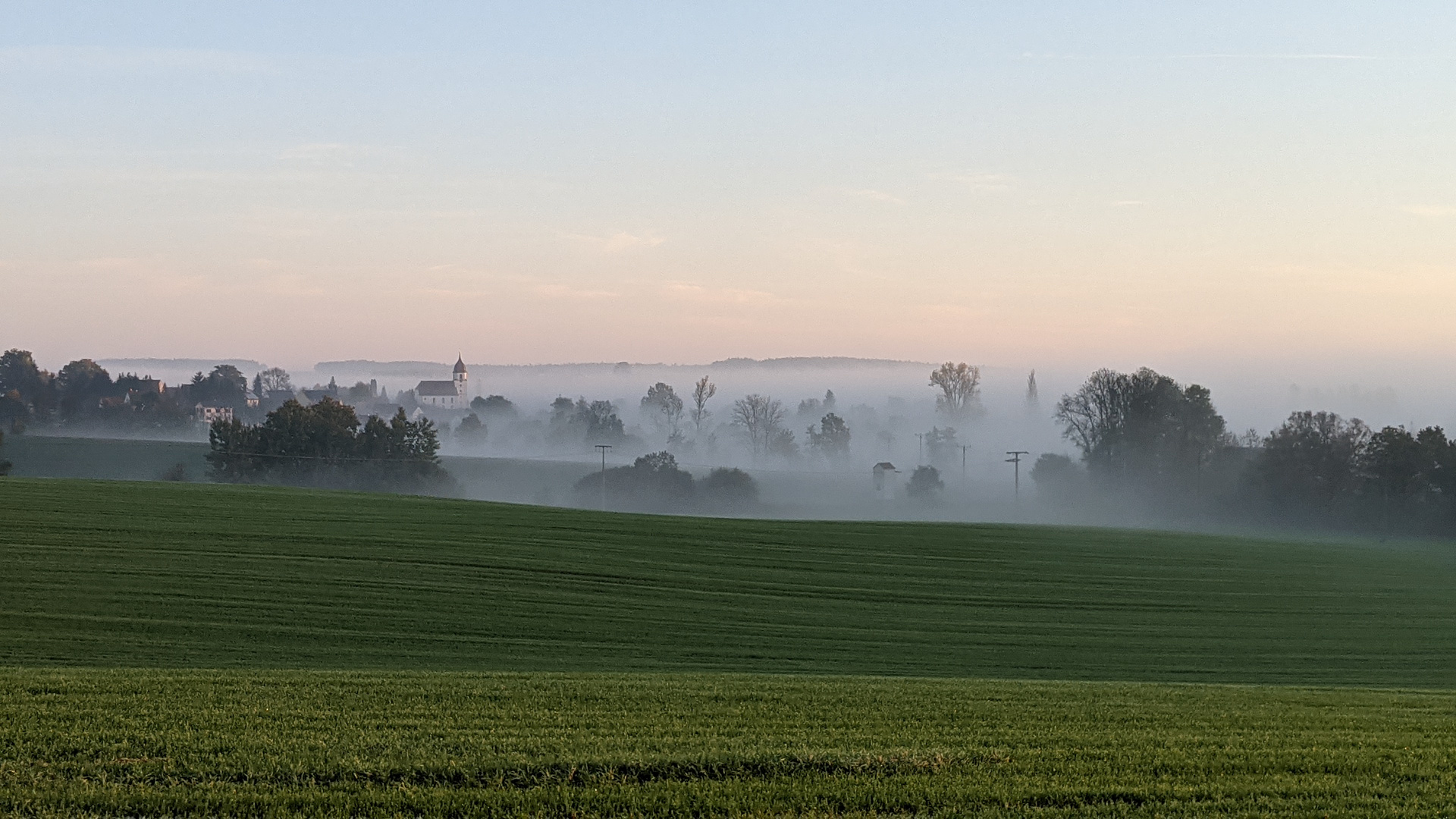 Nebel am Land  2