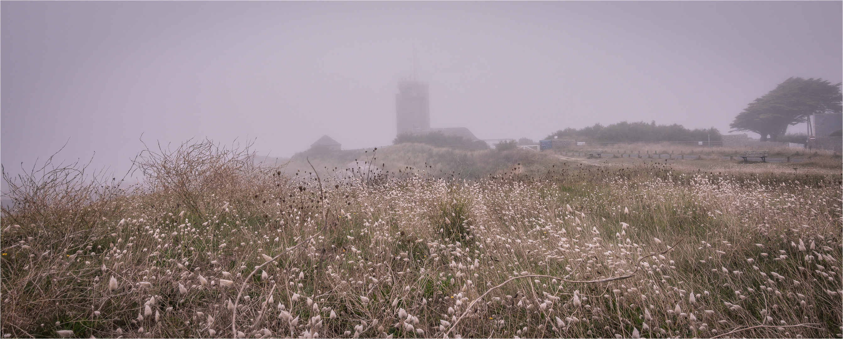 Nebel am Meer