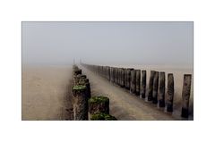 Nebel am Meer 2