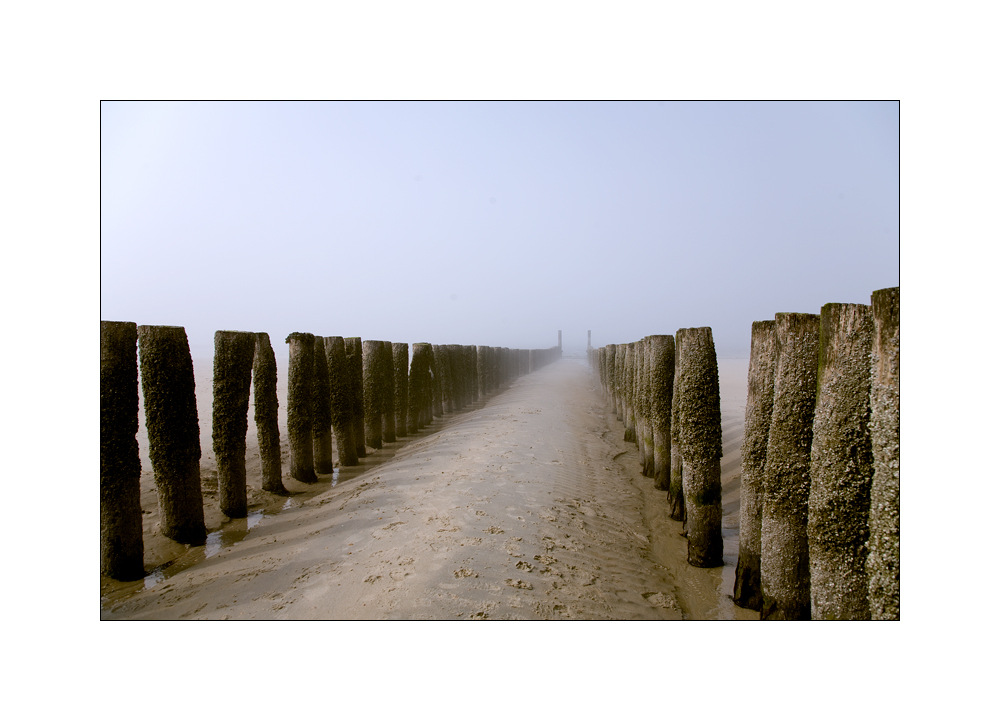 Nebel am Meer 3