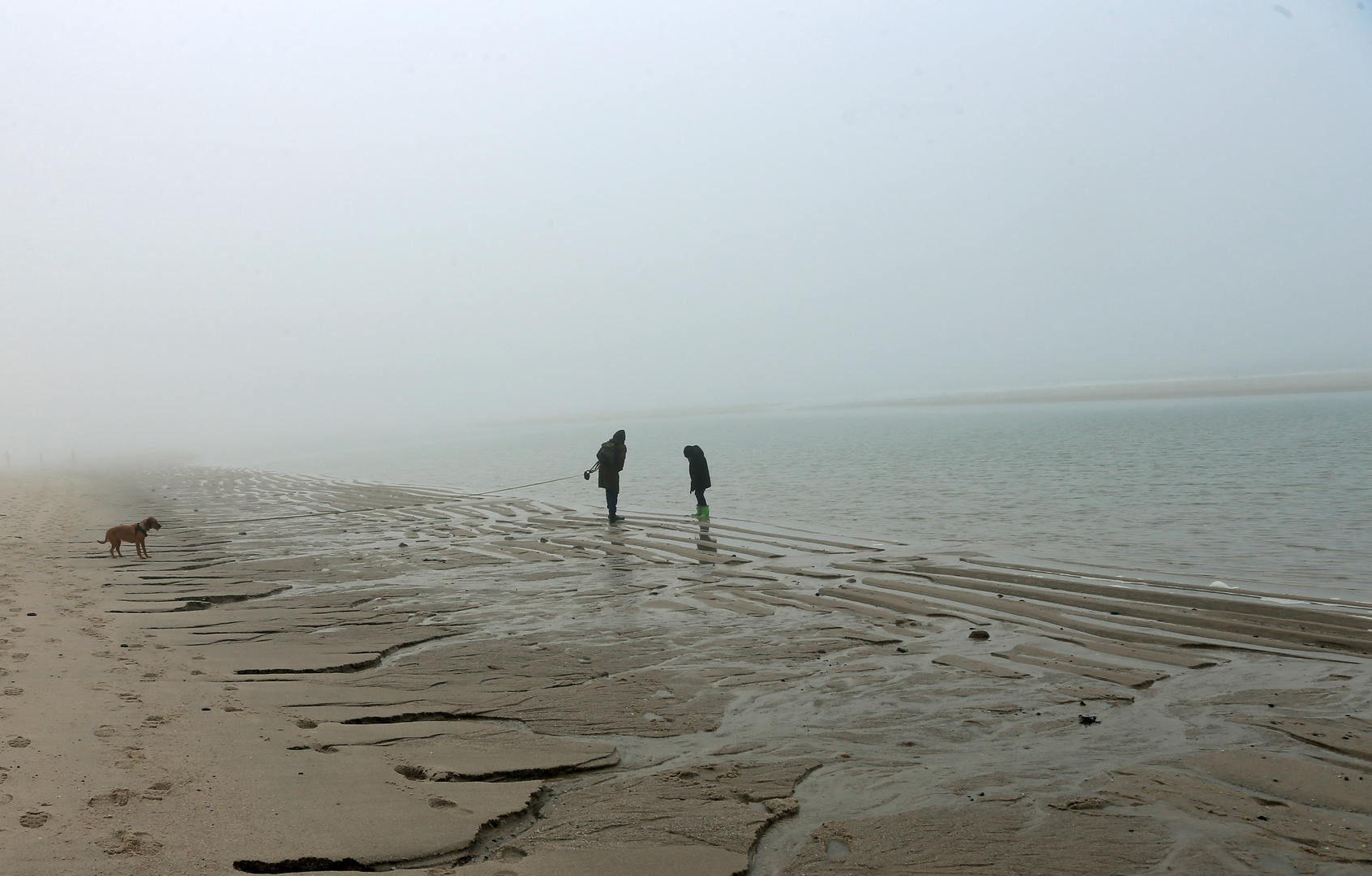 Nebel am Meer