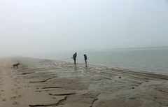 Nebel am Meer