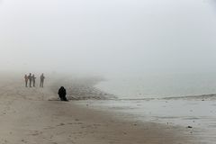 Nebel am Meer