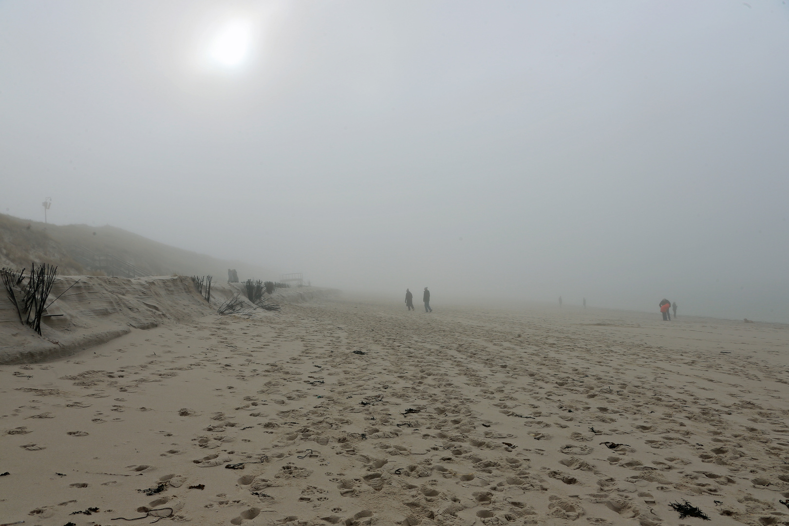 Nebel am Meer