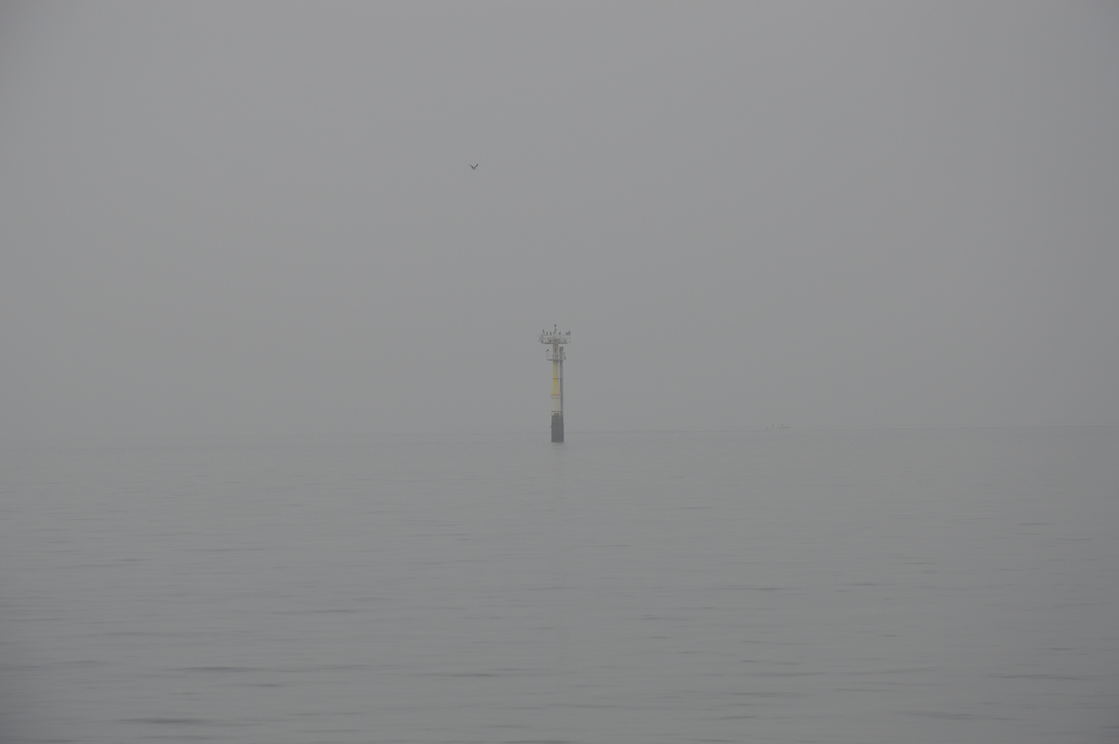 Nebel am Meer