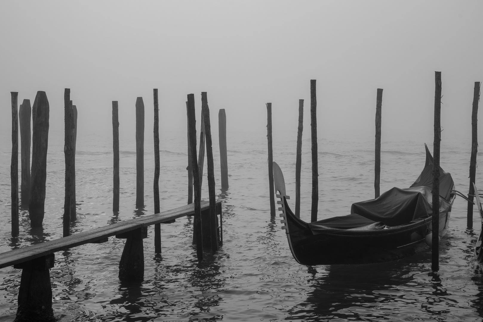 nebel am molo