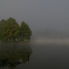 Nebel am Moorsee