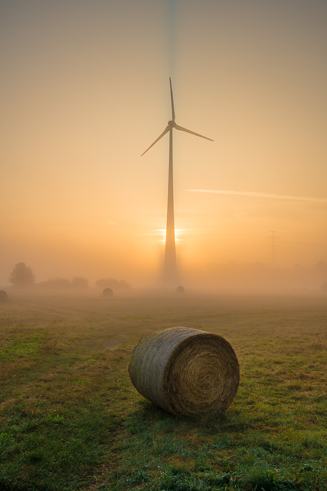 Nebel am Morgen