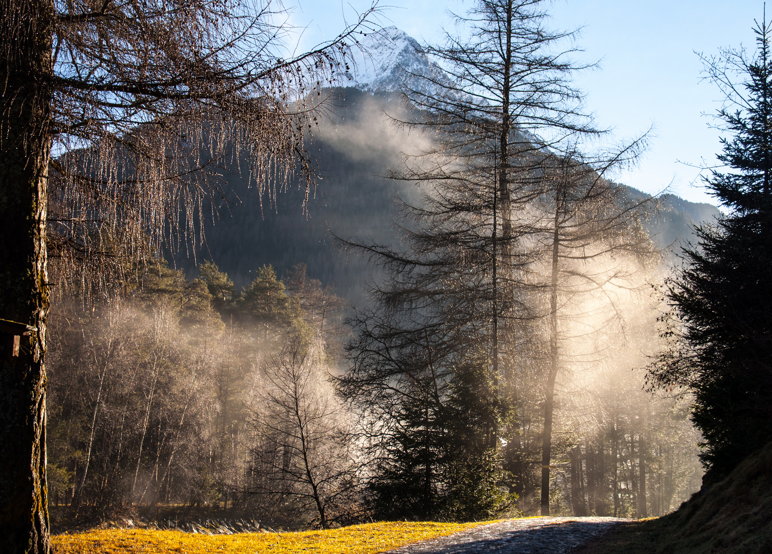 Nebel am Morgen