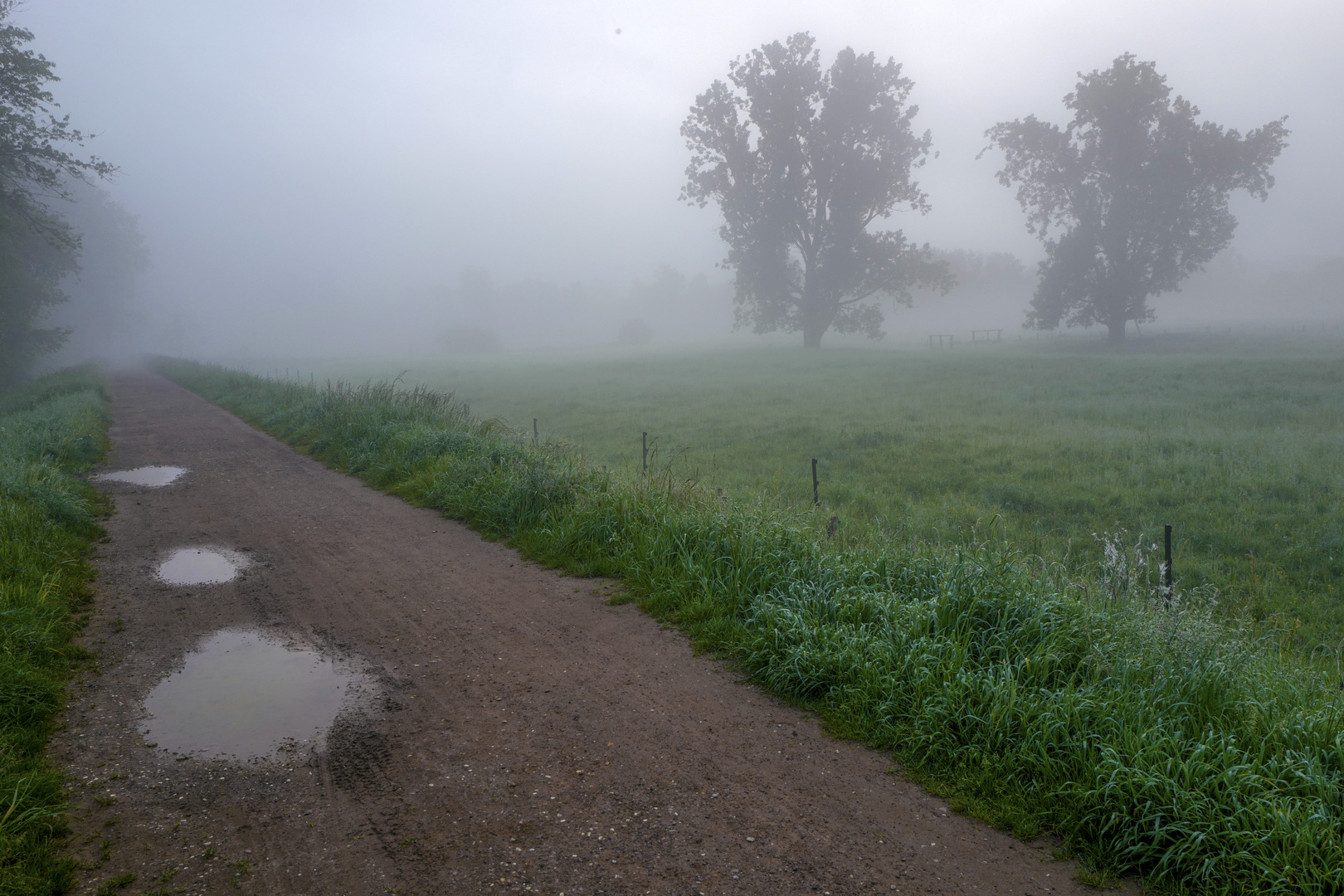 Nebel am Morgen