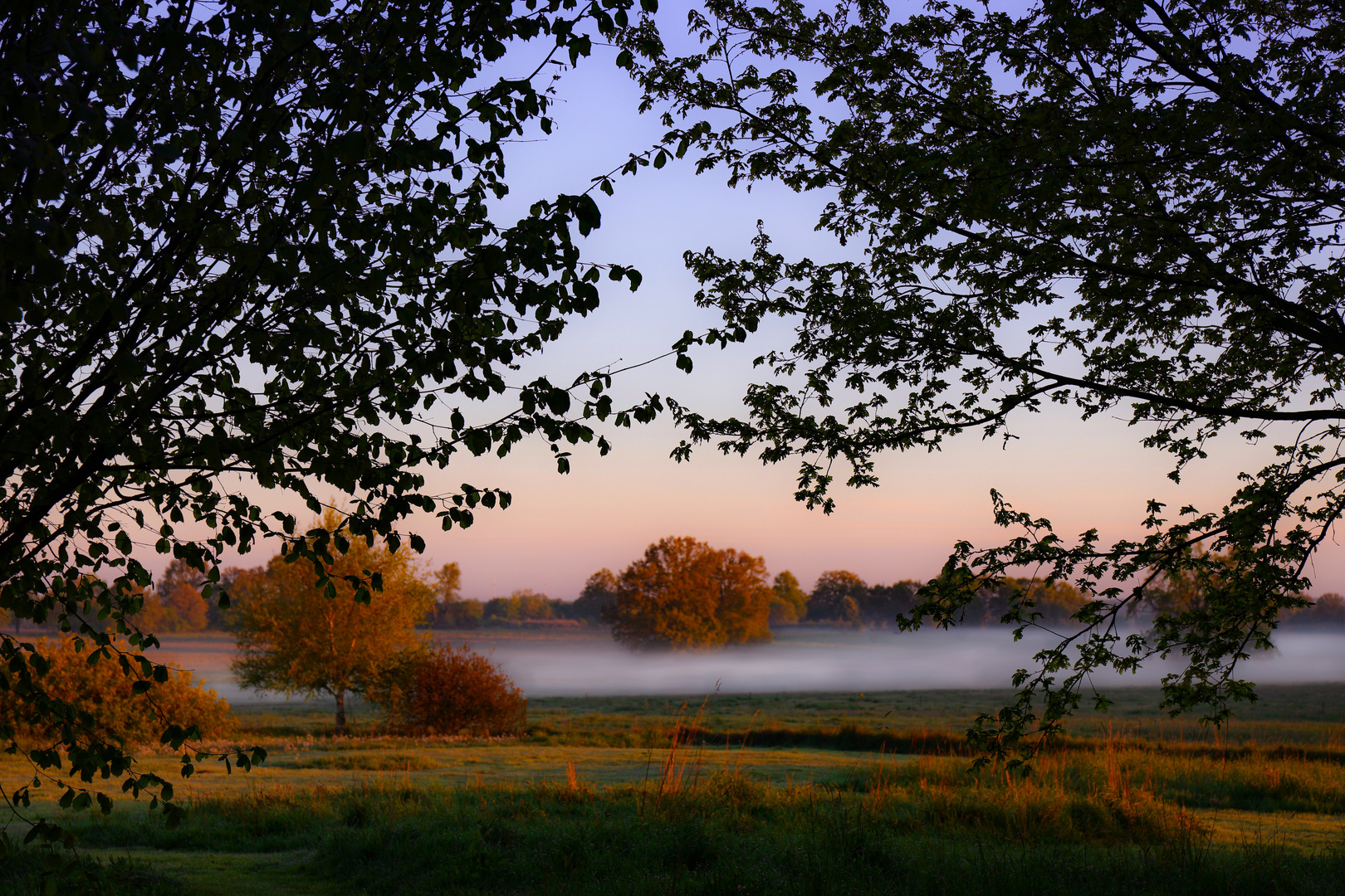 Nebel am Morgen ...