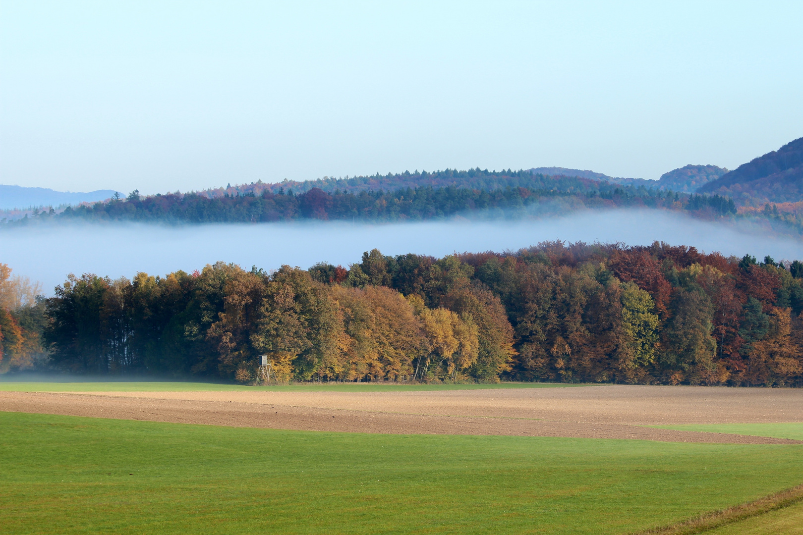 Nebel am morgen