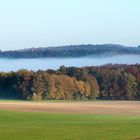 Nebel am morgen