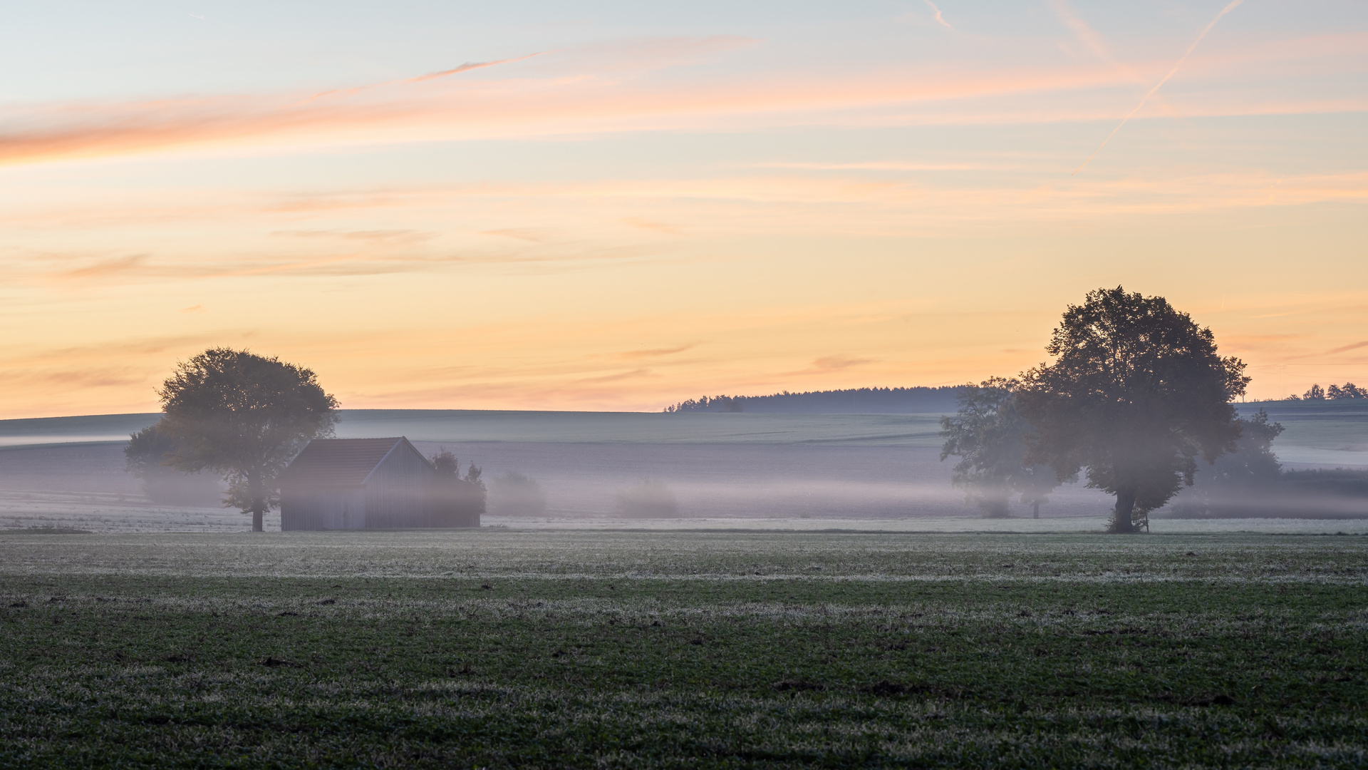 Nebel am Morgen