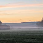 Nebel am Morgen