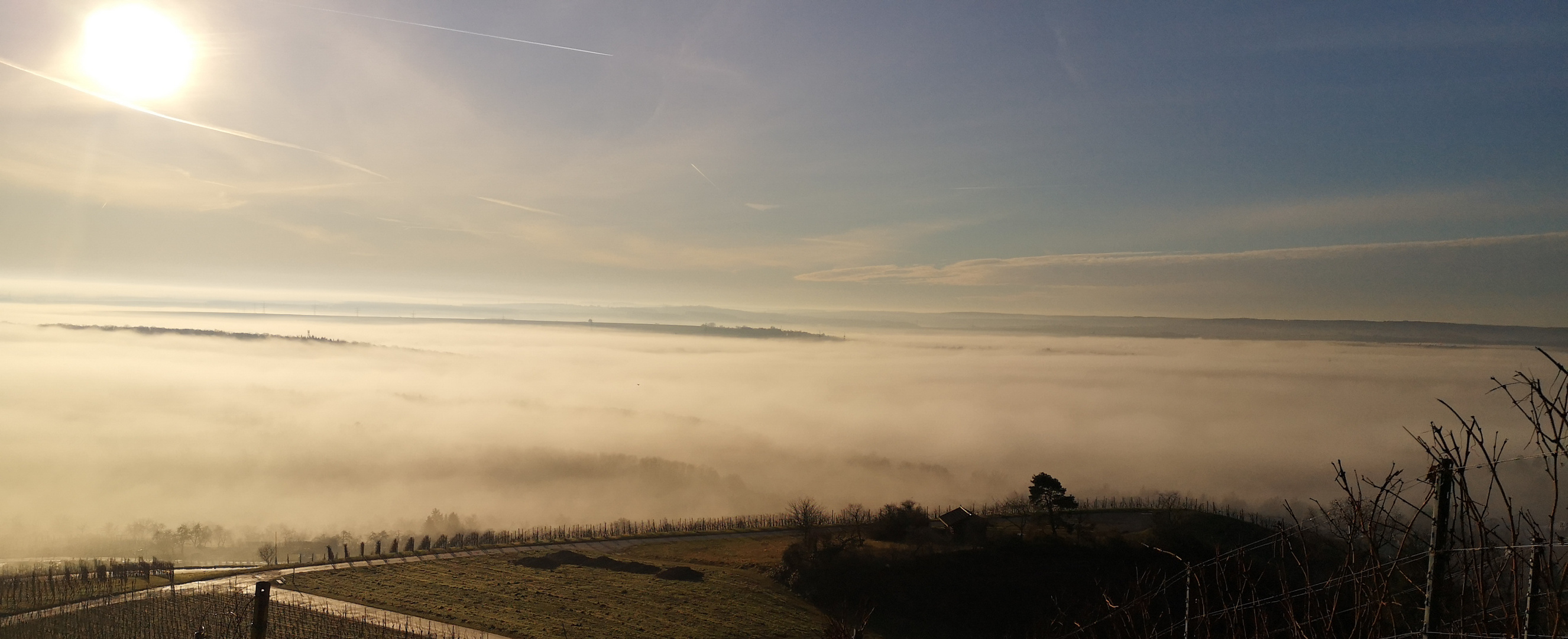 Nebel am Morgen 3