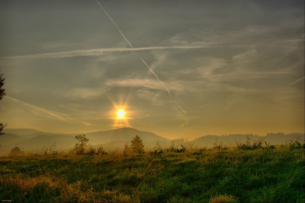 Nebel am Morgen