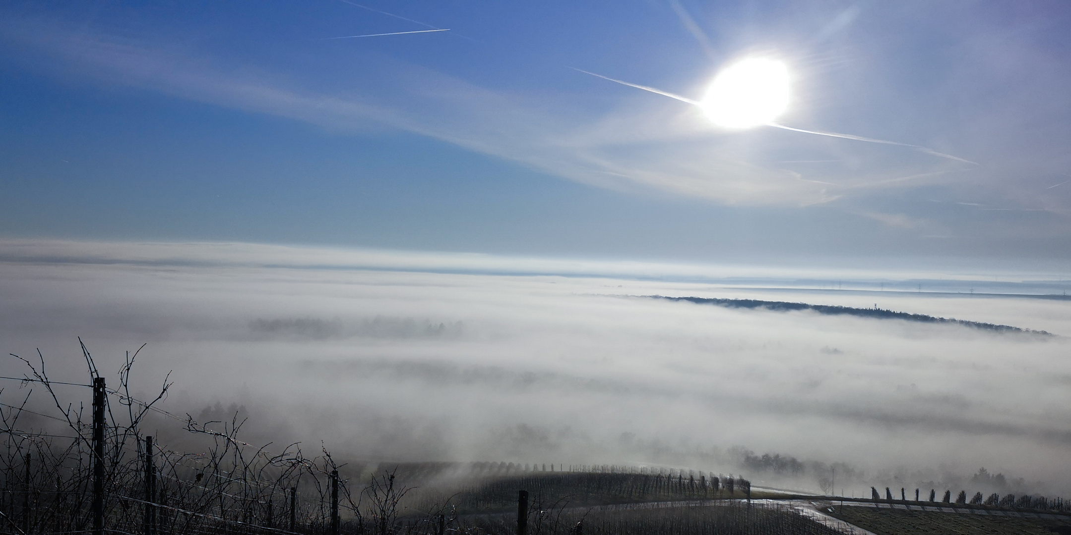 Nebel am Morgen 4