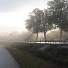 Nebel am Morgen