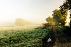 Nebel am Morgen