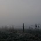 Nebel am Morgen