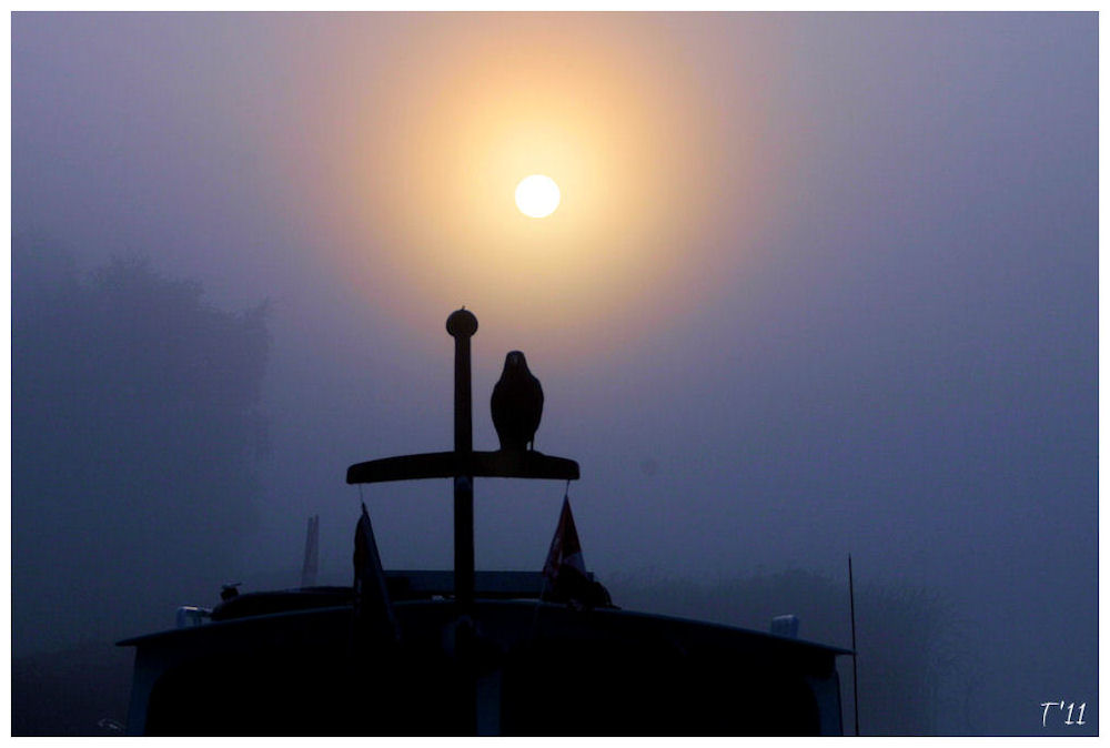 Nebel am Morgen