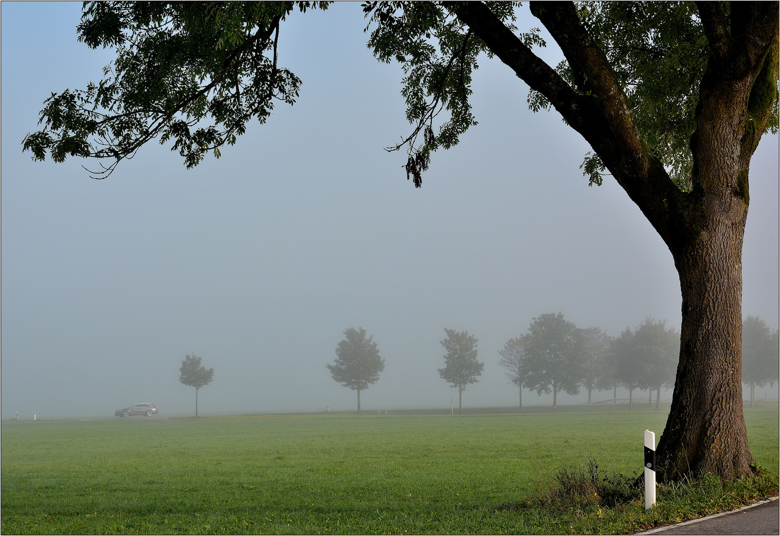 Nebel am Morgen