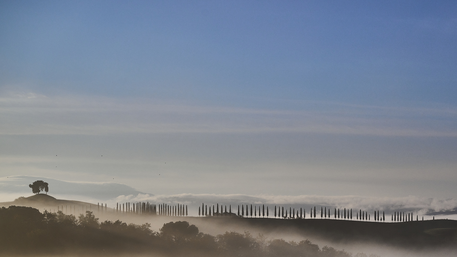 Nebel am Morgen