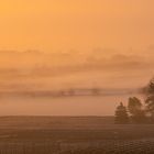 Nebel am Morgen